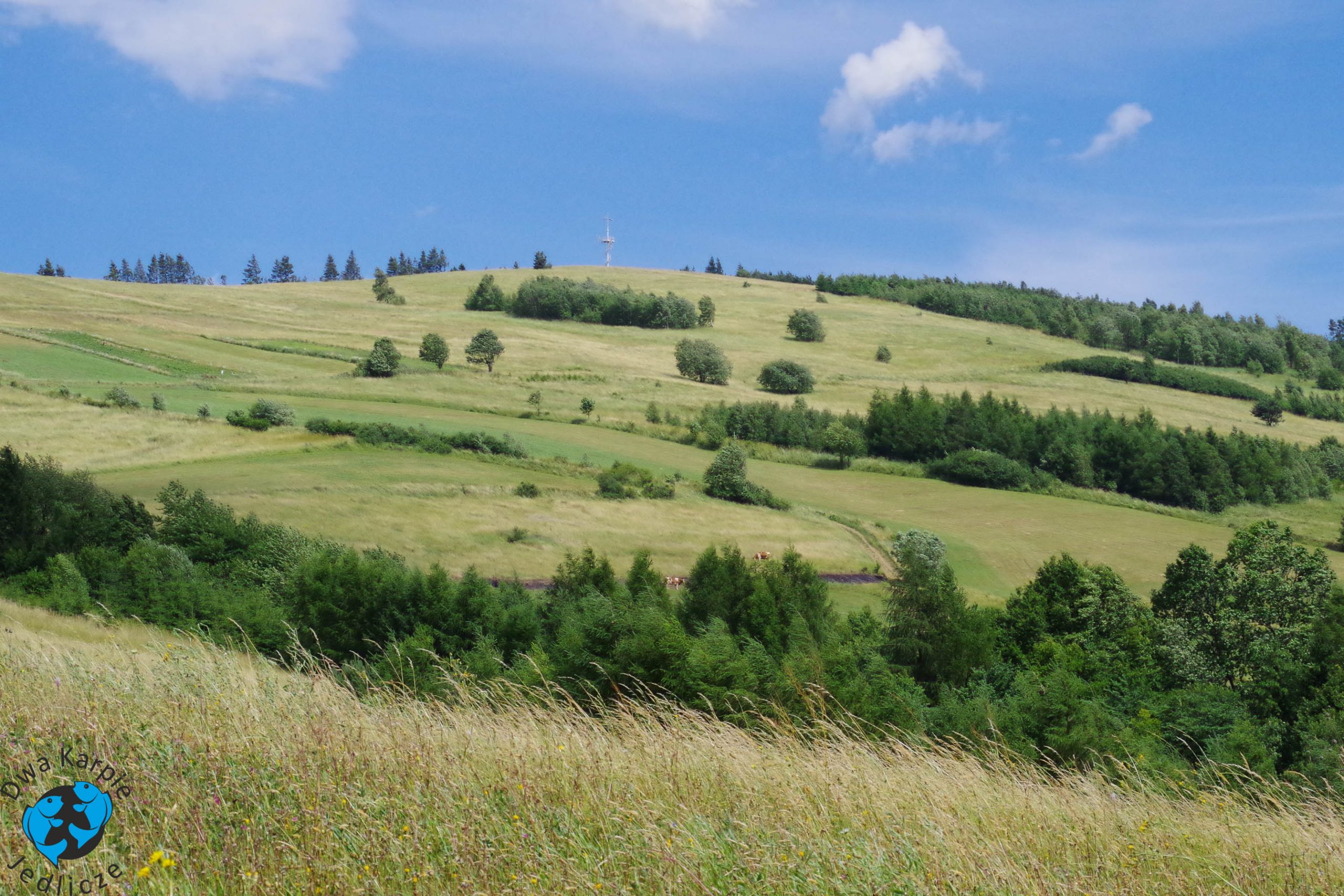 Góra Grzywacka